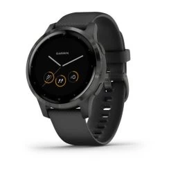 Garmin Vívoactive 4s Black With Slate (PVD Black/Gunmetal)